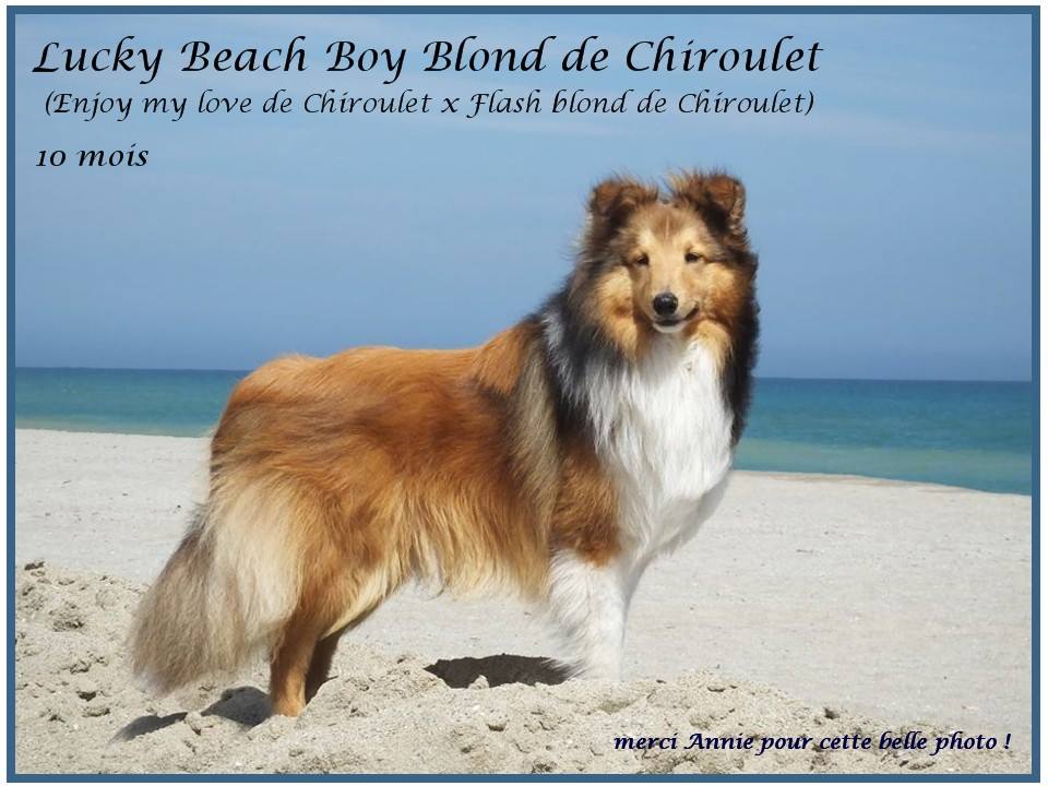 Lucky beach boy De chiroulet
